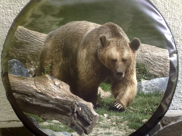 Kryt rezervy kolesa - 9