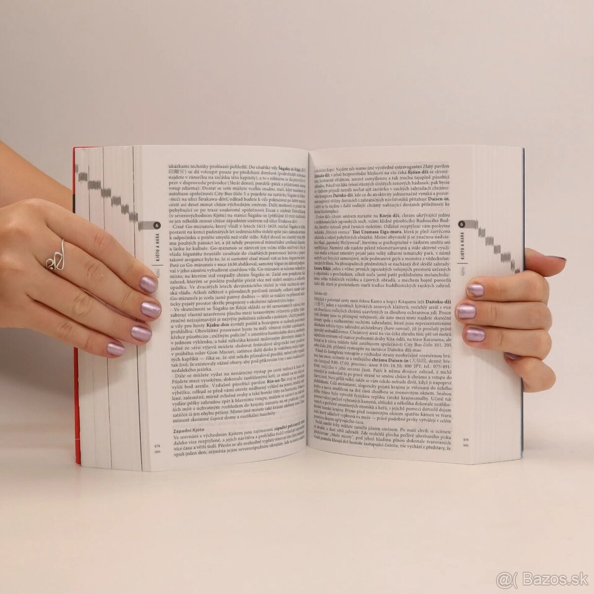 Japonsko - český turistický sprievodca Rough Guides - 9