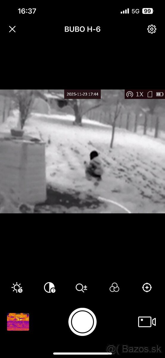 Termovizia tetrao bubo h-6 - 9