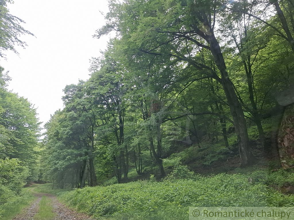 NOVÁ CENA Rozsiahle lesné pozemky v Podpoľaní - 9