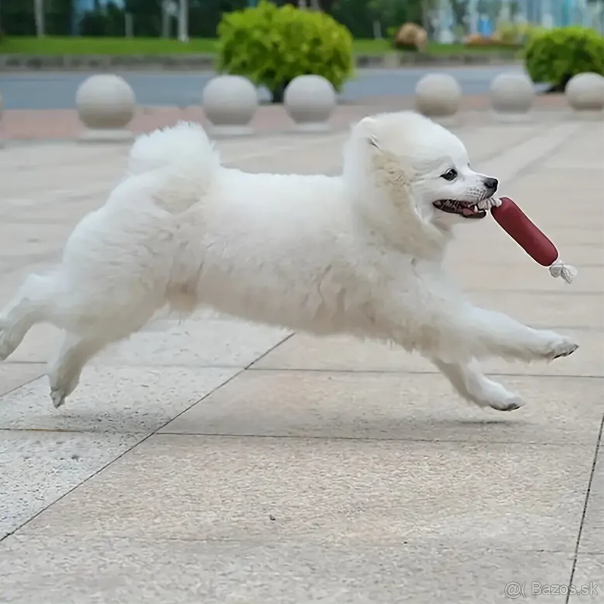 Hračka žuvacia – Tri špekačky pre stredné a veľké plemená - 9