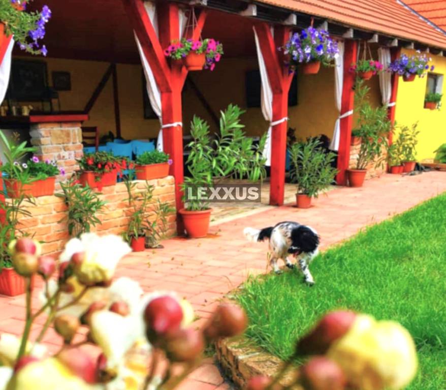 | exkluzívna vidiecka rodinná usadlosť, Lučenec. - 9