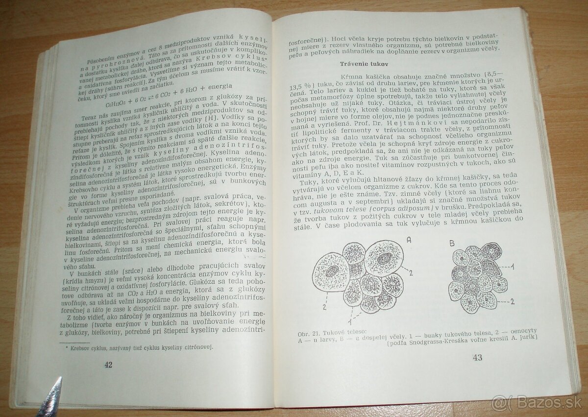 Výživa a kŕmenie včelstiev - 9