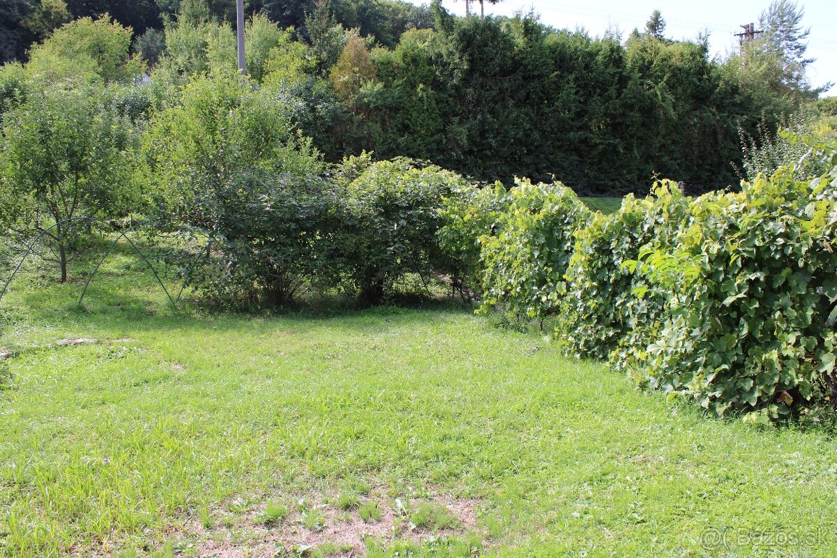 Na predaj záhradná chatka – Lučenec, 10. záhradkárska osada - 9