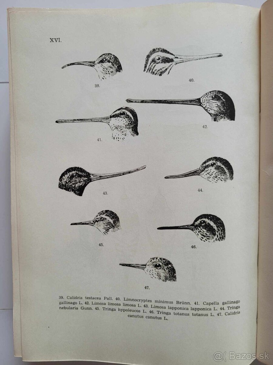 Slovenská vlastiveda 1-5 komplet - 9