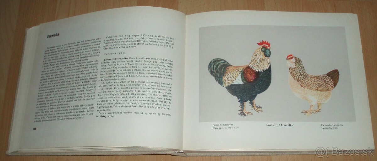 Atlas plemien hydiny - 9