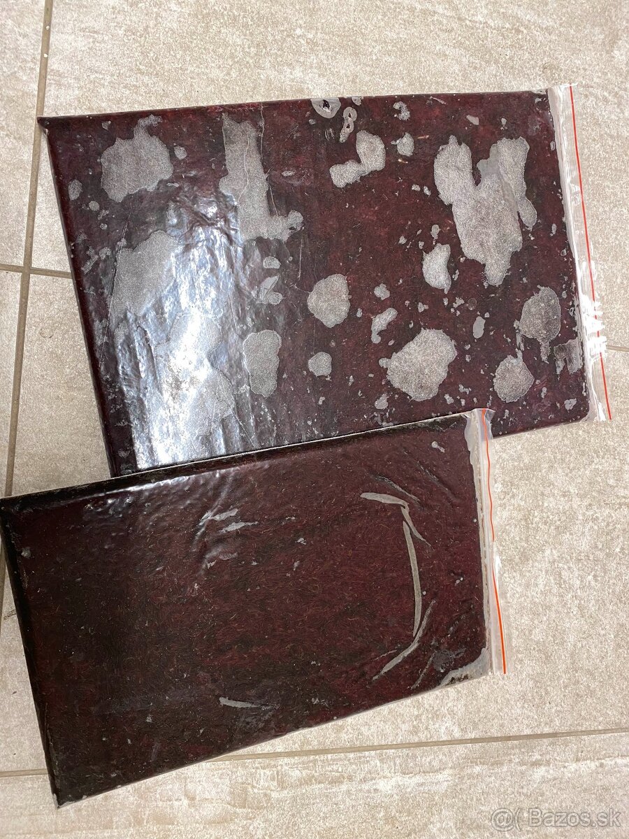 Artemie, discus mix, koretra, dafnie, mysis, hovězí srdce - 9