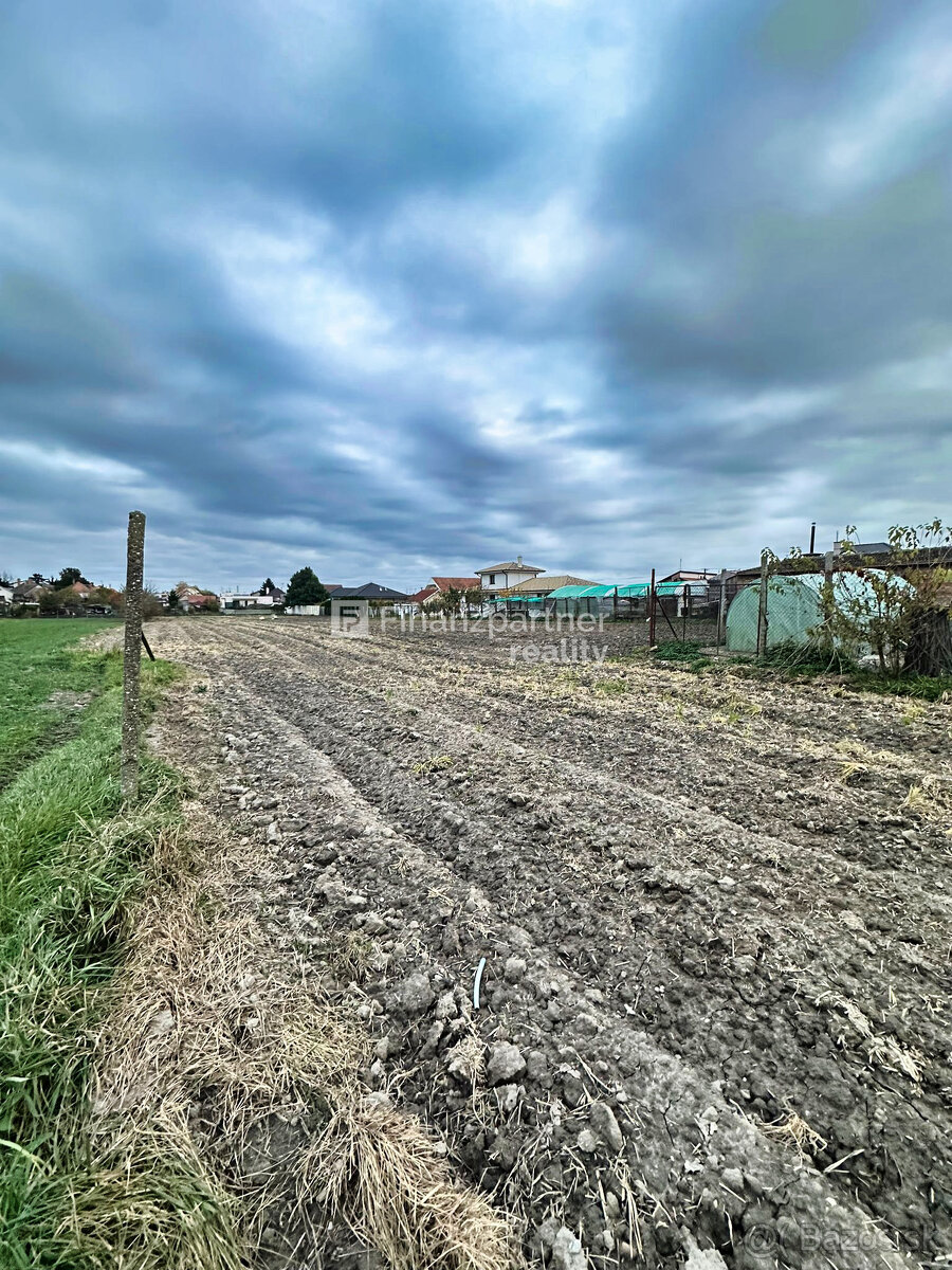 Stavebný pozemok 4702 m² v obci Trstice, Galanta - 9