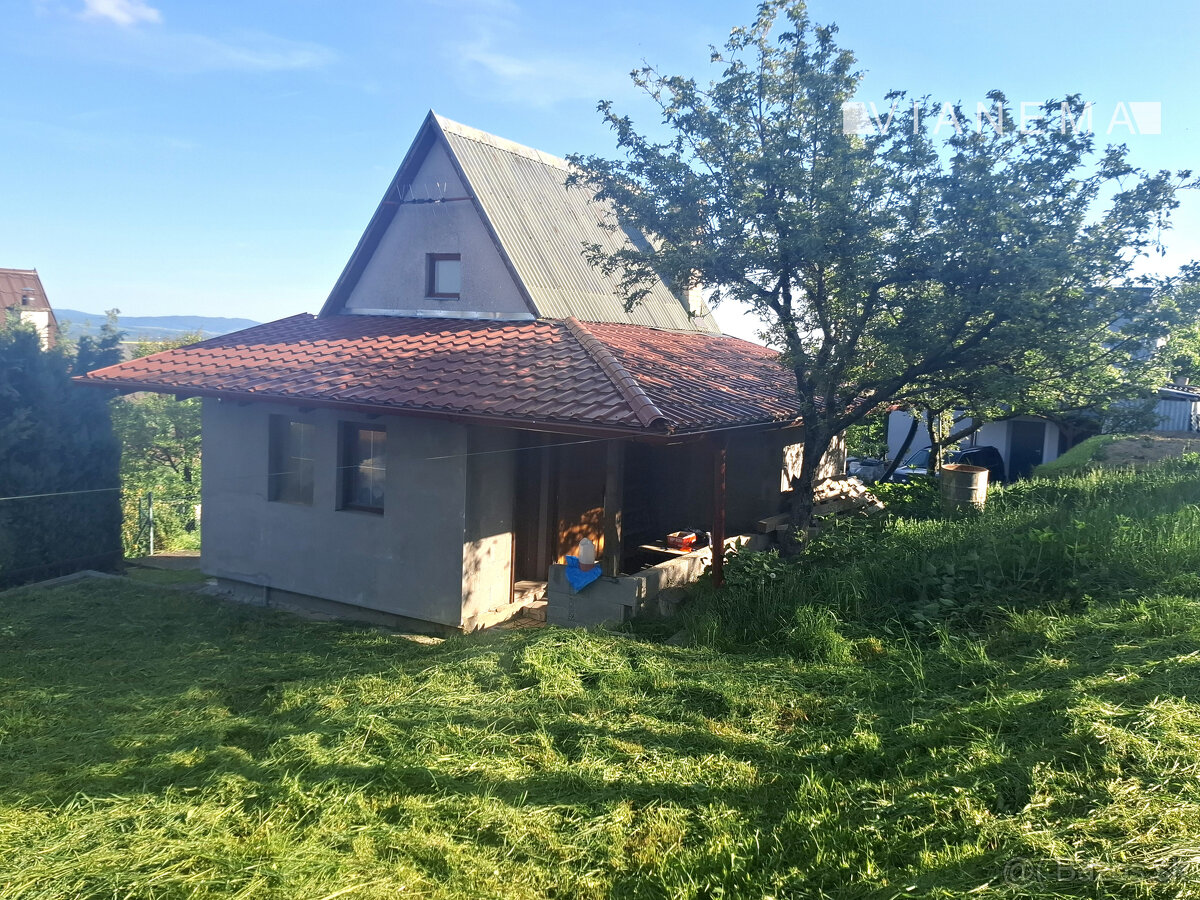 IBA U NÁS Rekreačná chatka - Vinohrady, Nové Mesto n./V. - 9