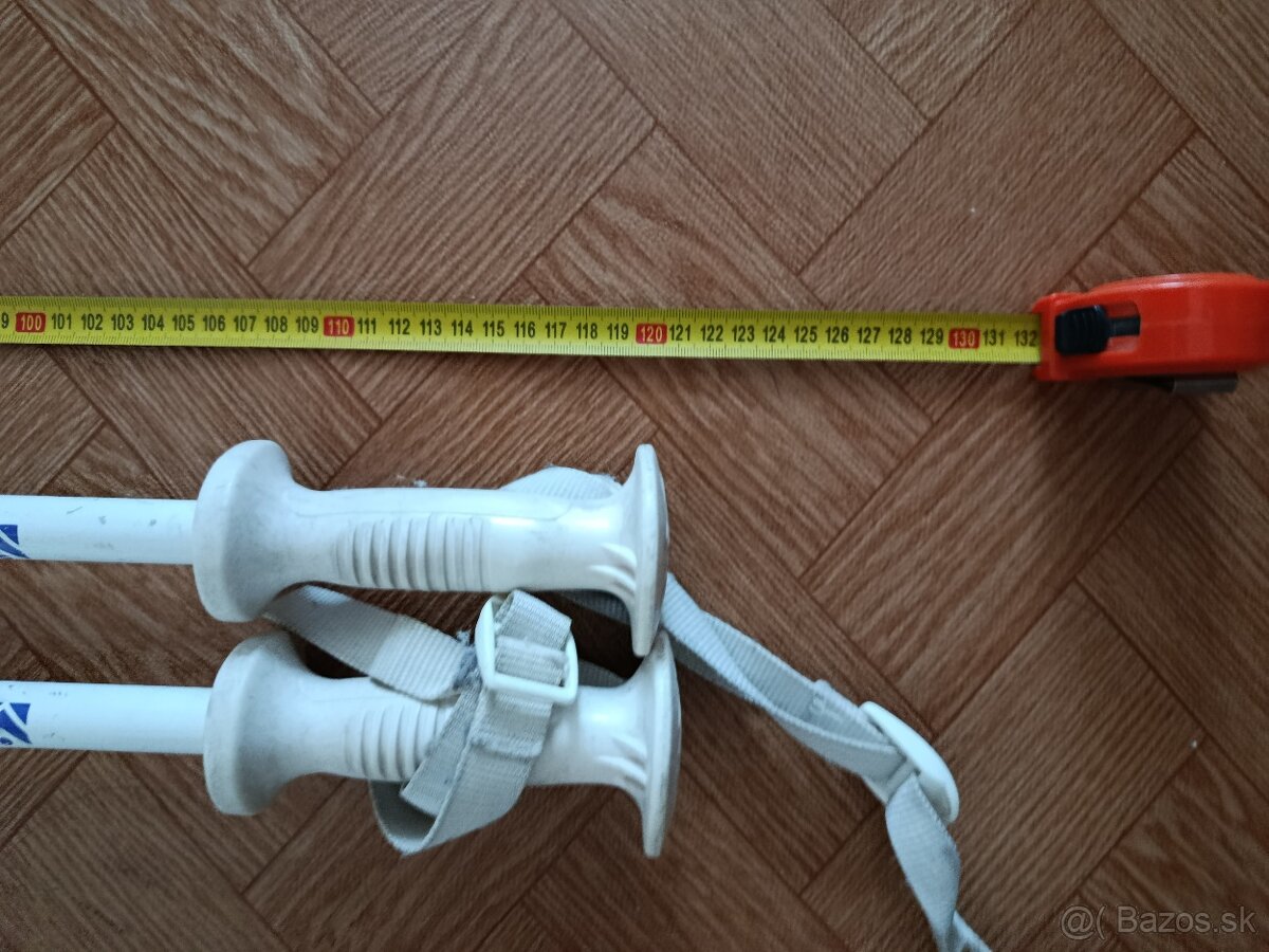 Predám lyže, lyžiarky a palice - 9