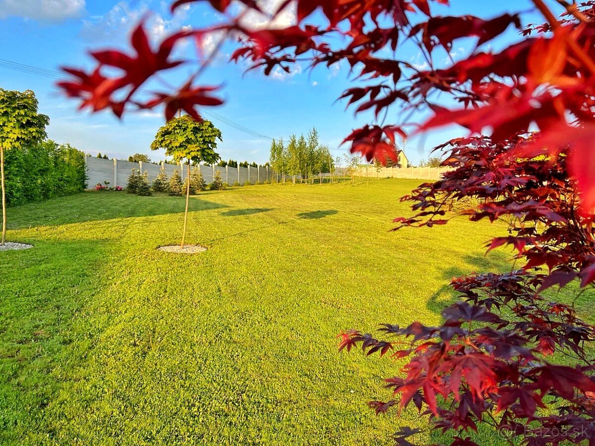VRÁBLE - rodinný dom s pozemkom 2000 m2 - 9