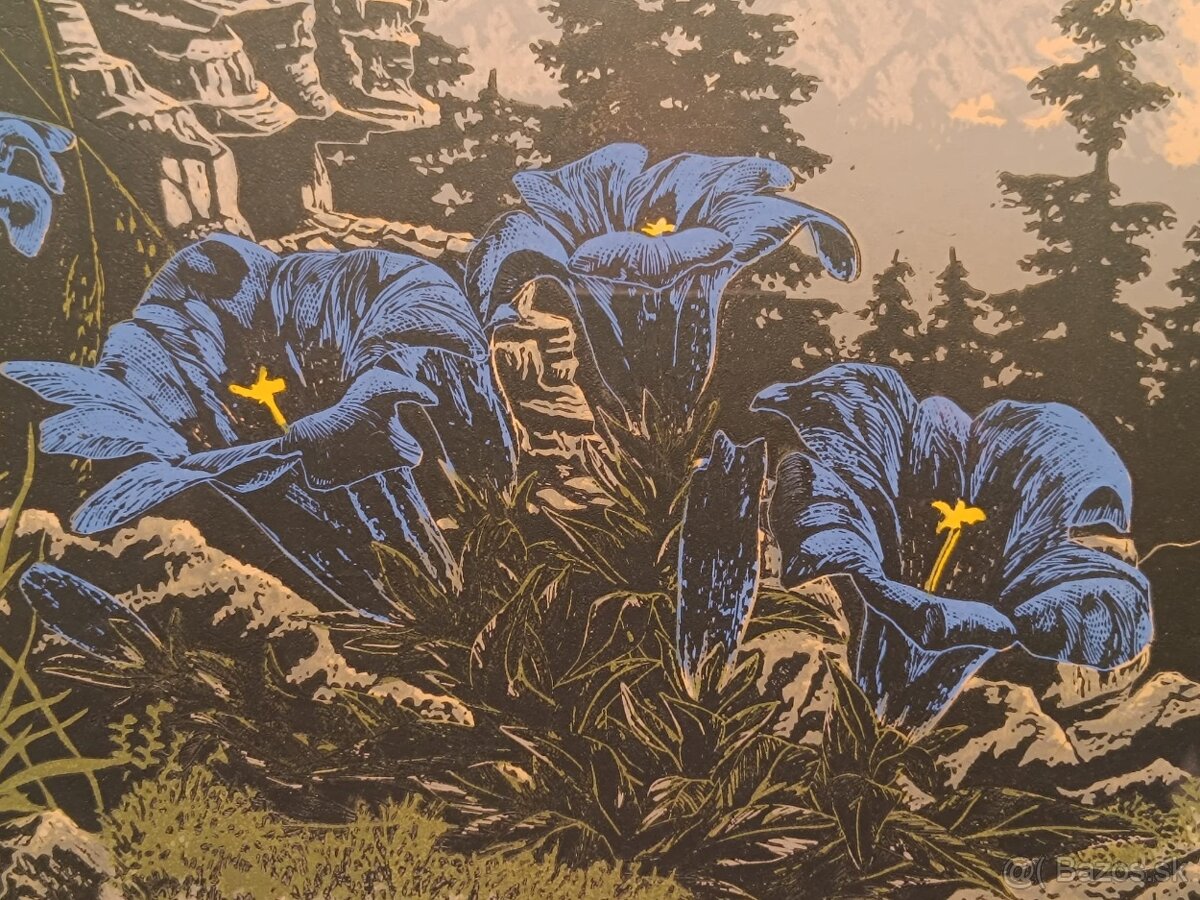 Obraz Tatranský horec 1971, 44x103 - 9