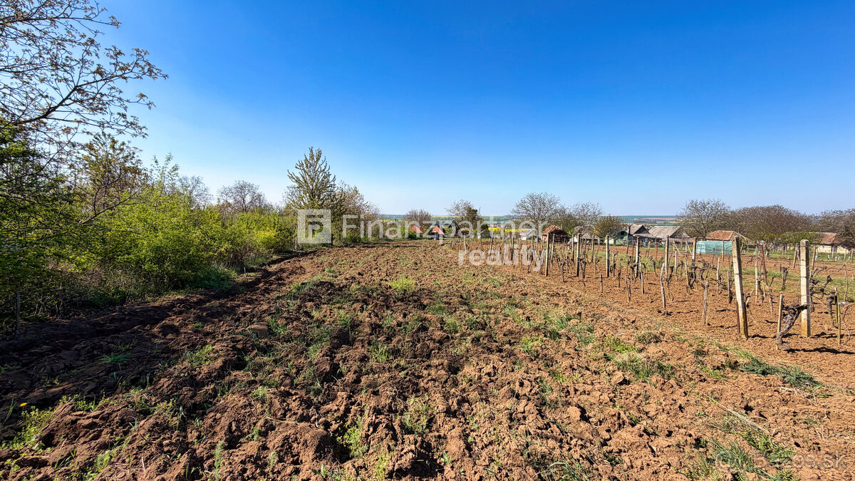 Záhrada 2190 m², Čechynce, Nitra - 9
