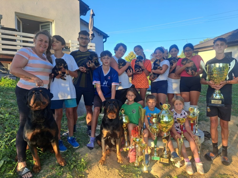 šteniatka rotvajlera - 9