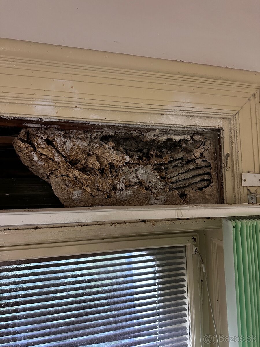 DERATIZÁCIA, DEZINFEKCIA, DEZINSEKCIA - 9