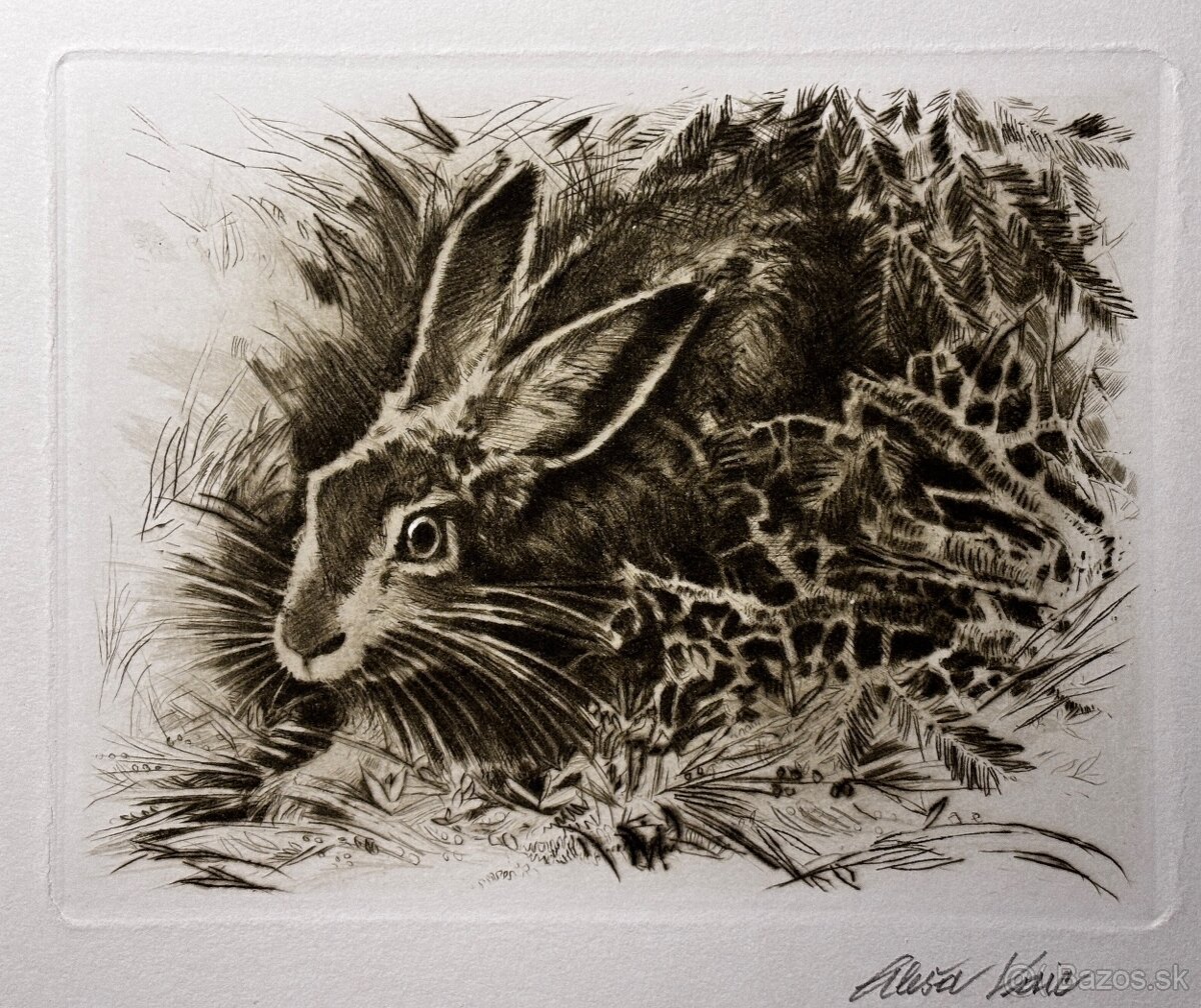 Aleš Vaic - lovecka tematika - 9