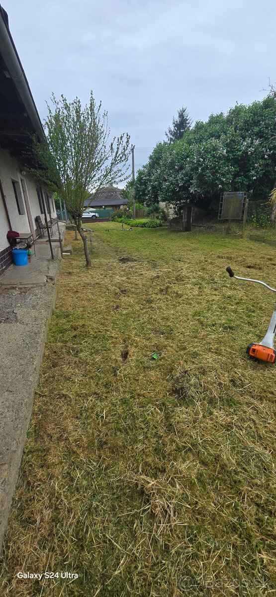 Pilenie a orezavanie stromov - rizikove - 9