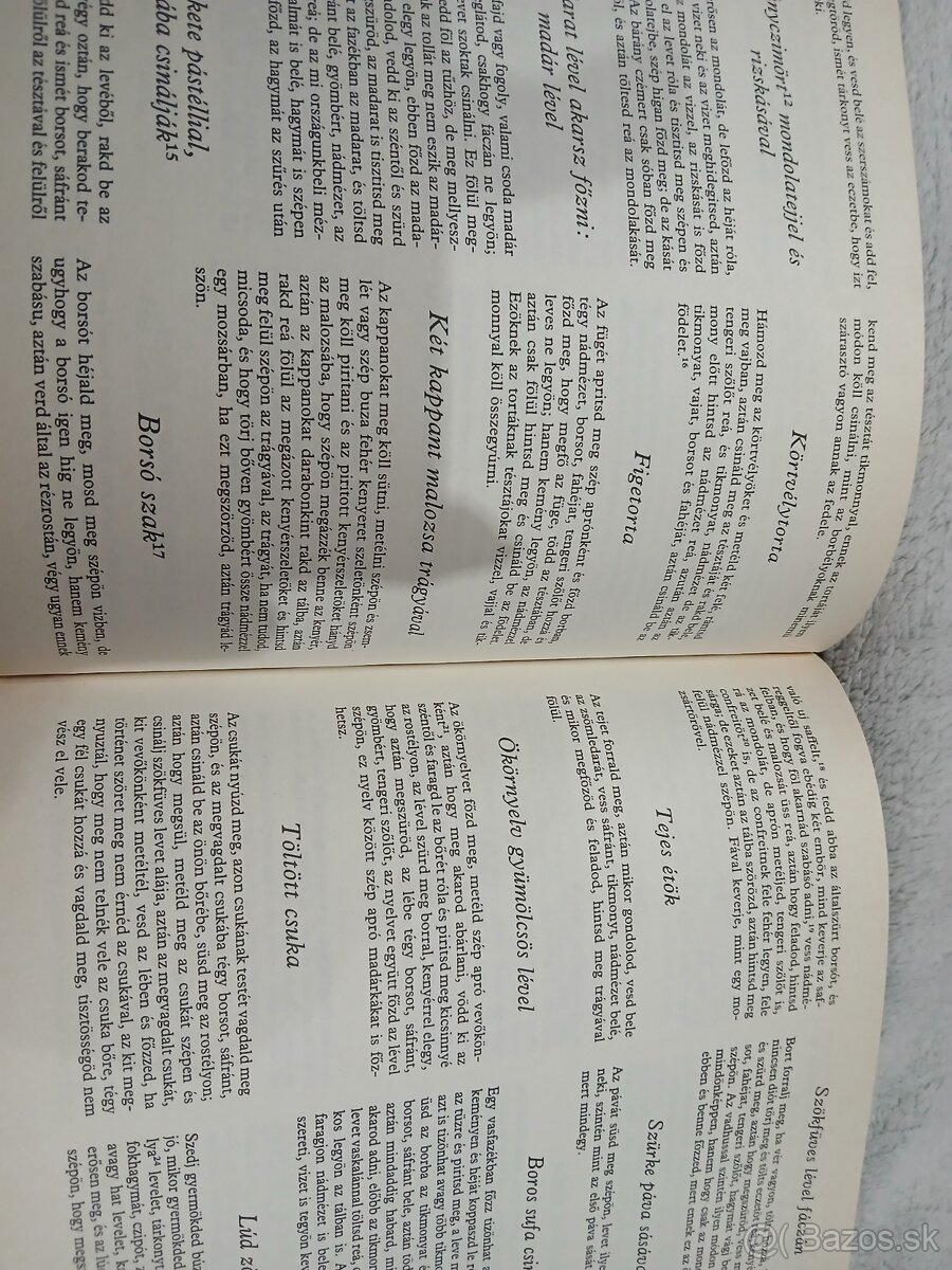 Maďarské kuchárske knihy - 9