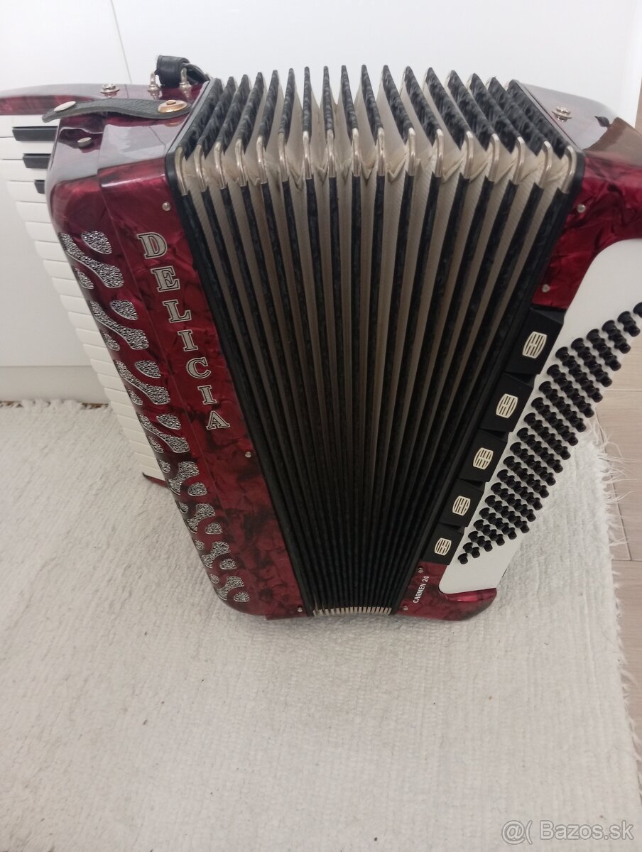Akordeon Delicia - 9