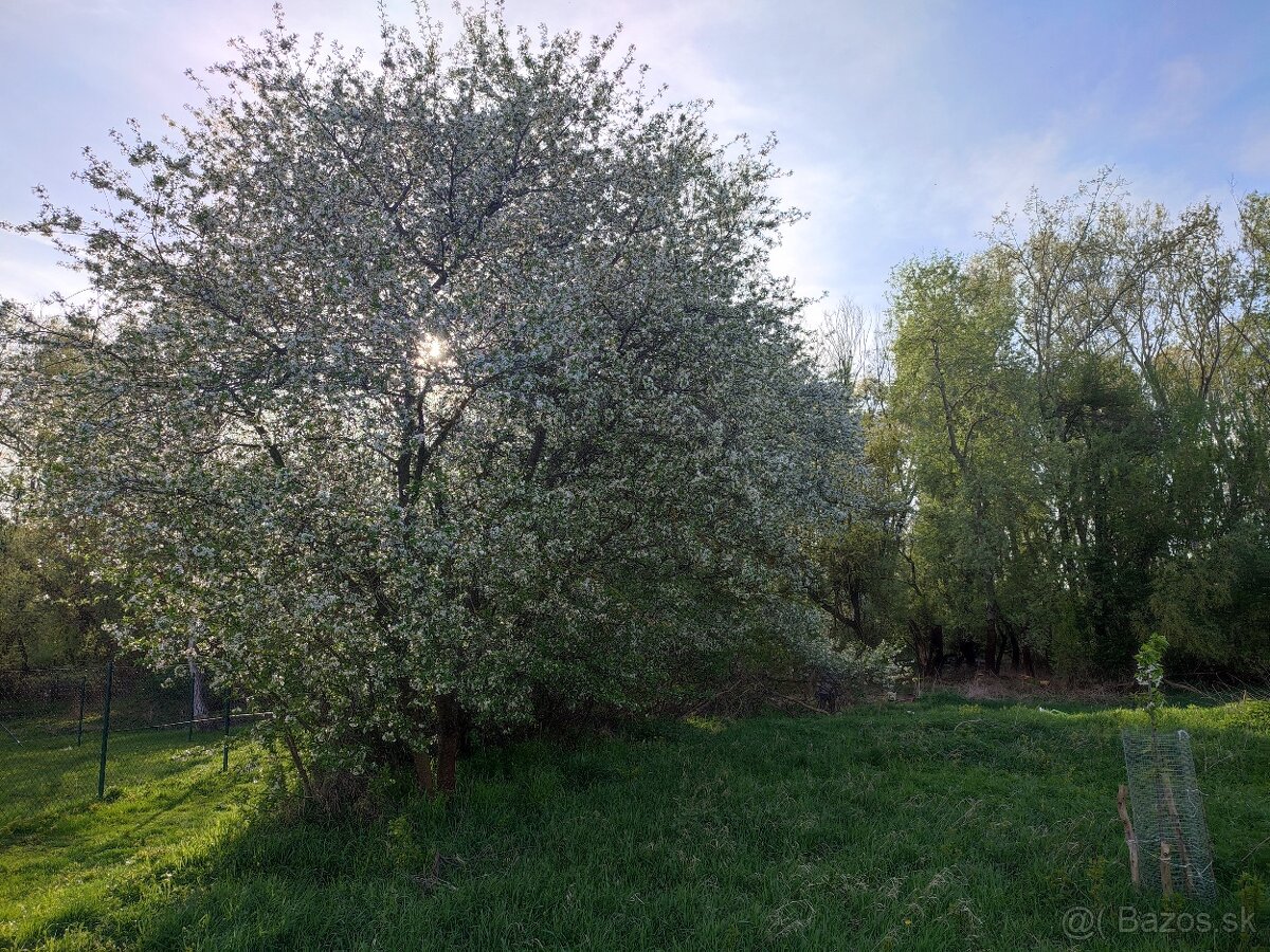 Stavebný pozemok so záhradou a lesom, 2716m2 - 9