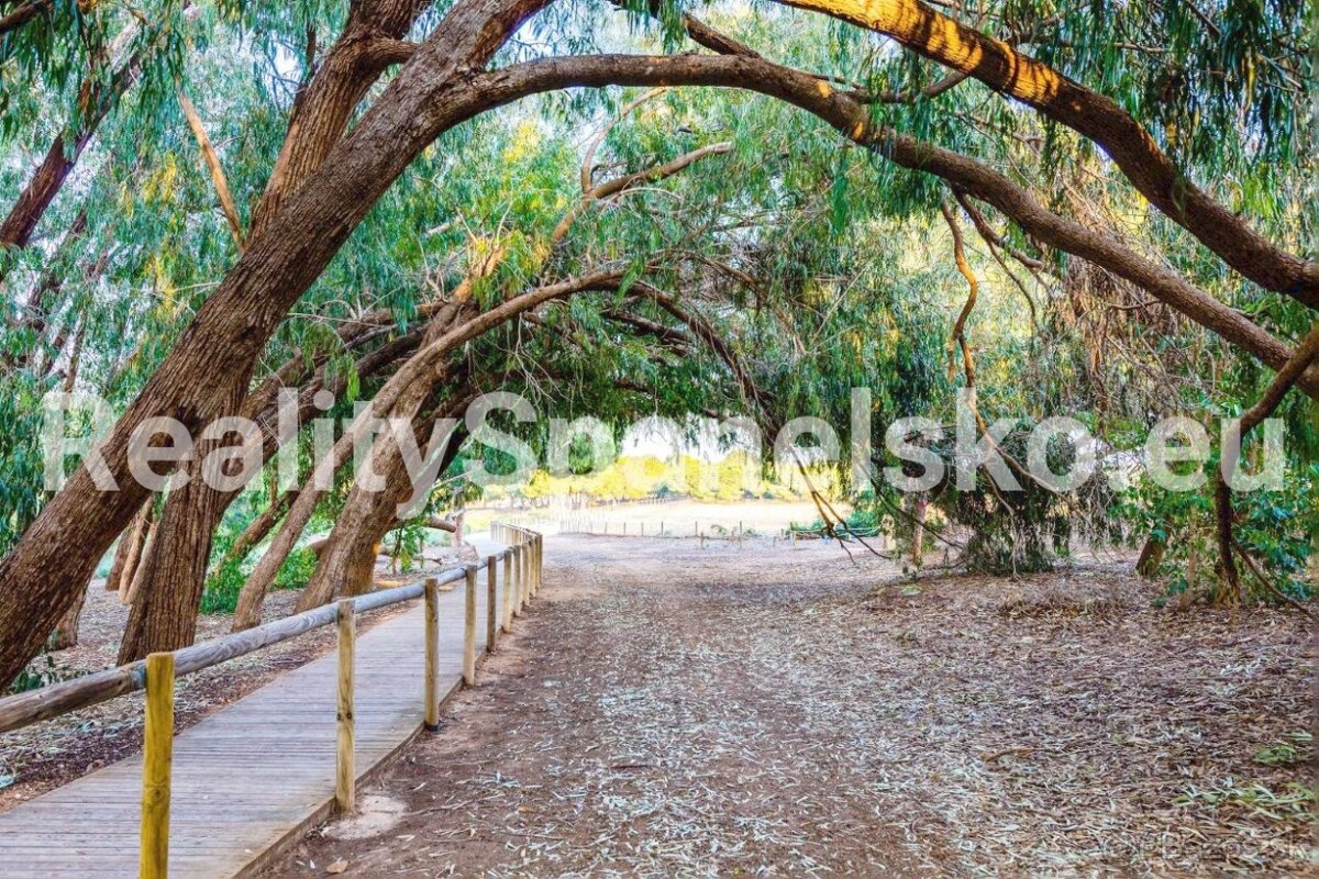 Španělsko, Alicante – Torrevieja, El Chaparral - 9