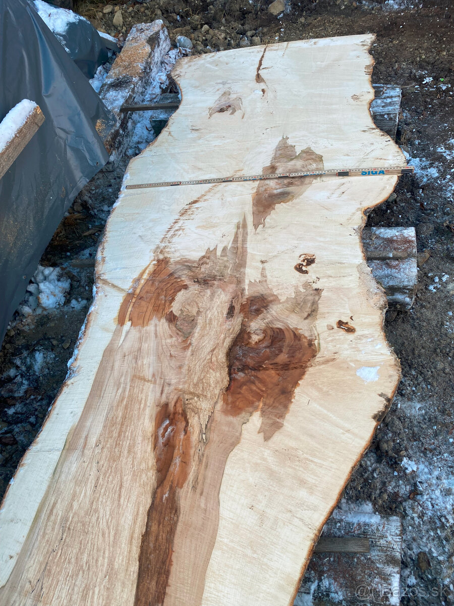 Rezivo Buk Dub Jelša Javor. - 9