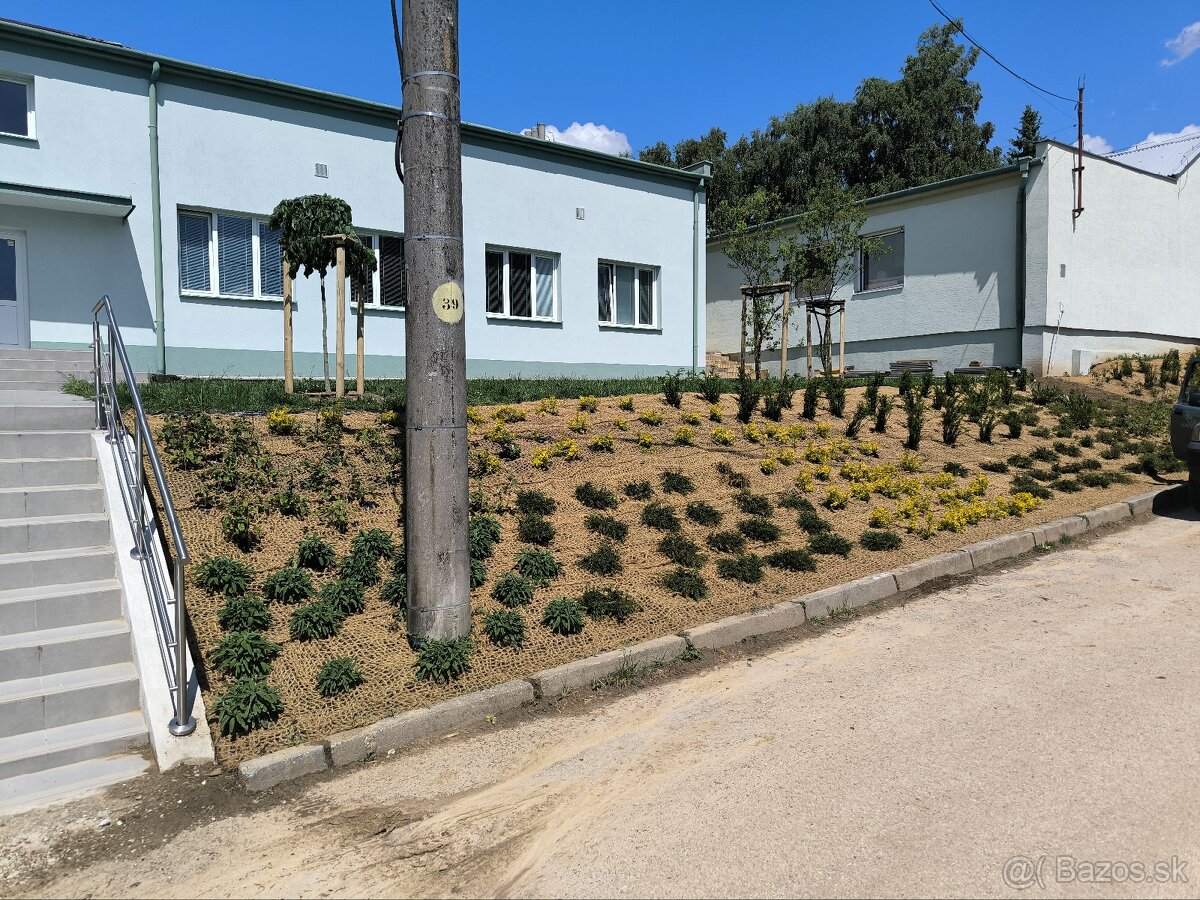 Záhrada zelená strecha rizikové rezanie stromov - 9