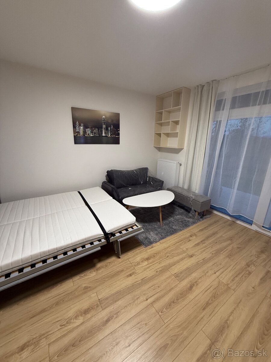 Jednoizbový byt Dva duby - 9