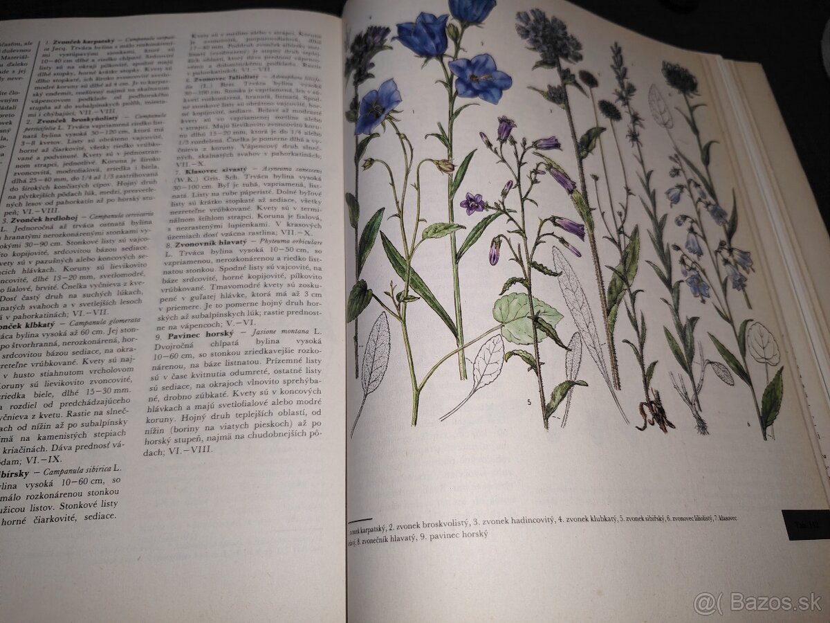 Z našej prírody - 9