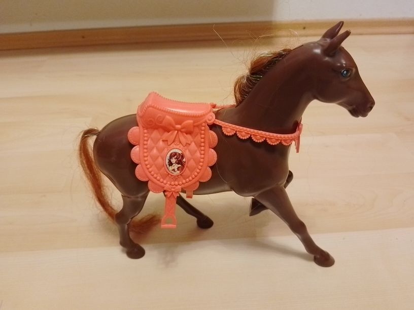 Koníky a poníky - 9