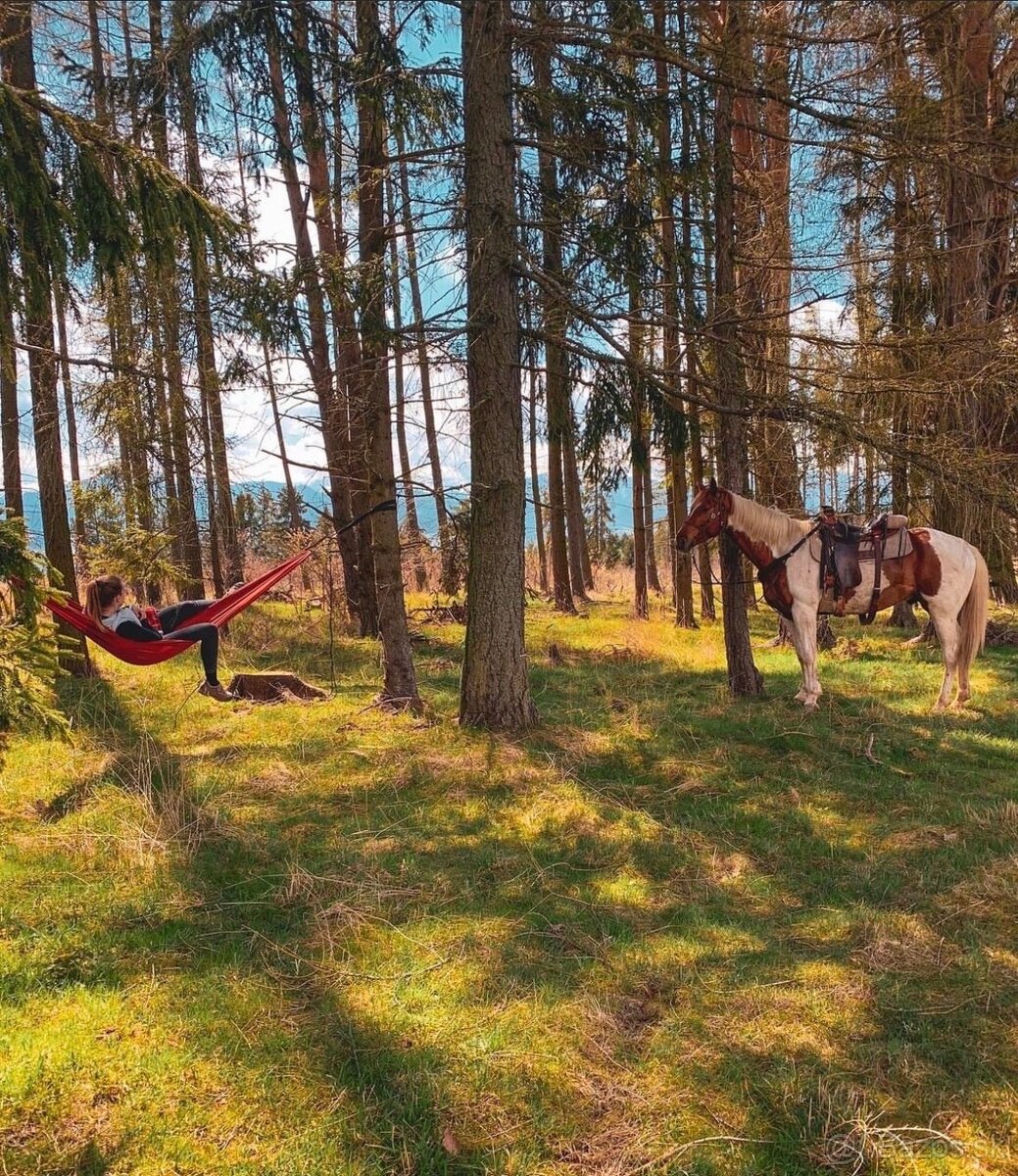 Predám pozemok pod Tatrami Východná - 9