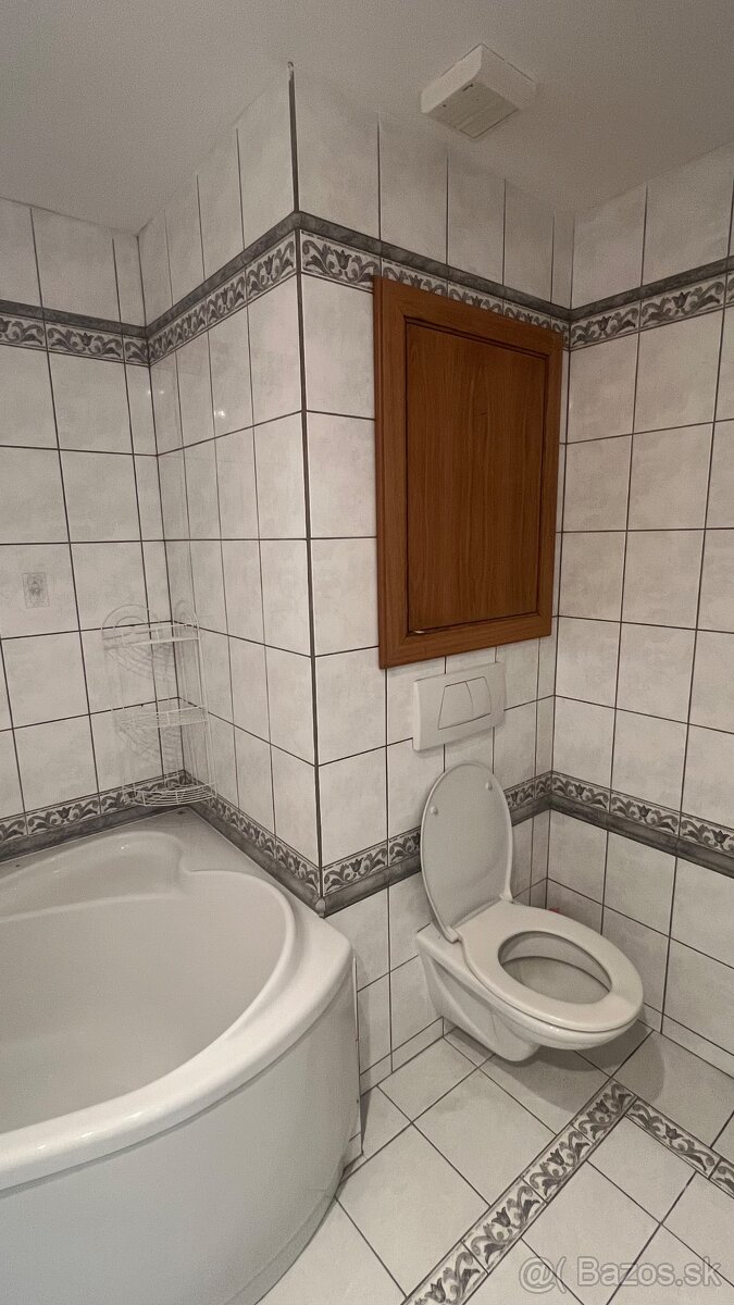 3 Izbovy byt Holleho 57 - 9