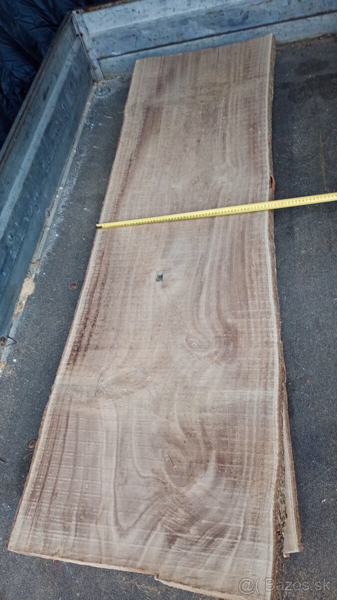 fosne paulownia - 9