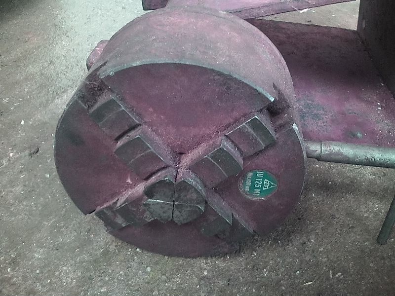 zverák, koník, ... - 9