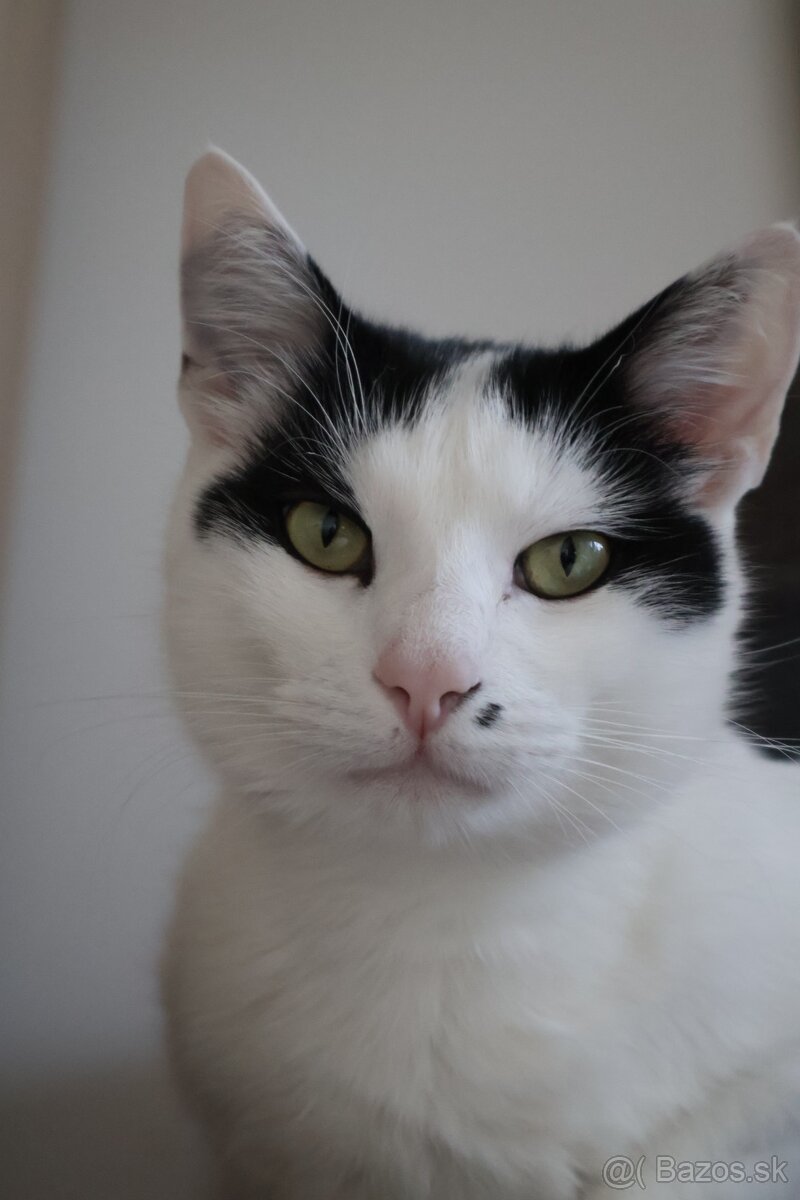 Len do dobrých rúk - 9