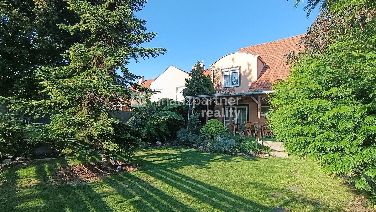 Výnimočná architektúra, dom, Šintava, Sereď - 9