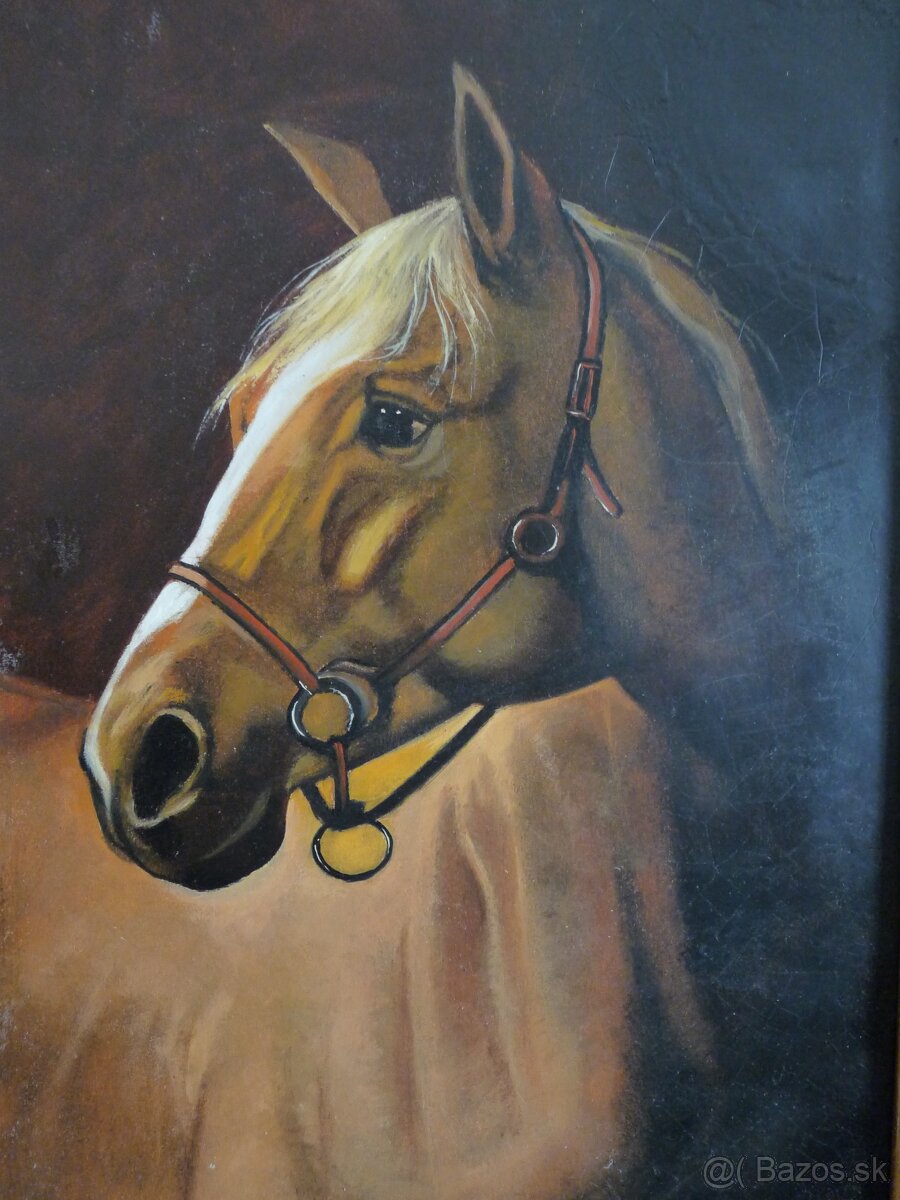 Starožitne obrazy a iné - 9