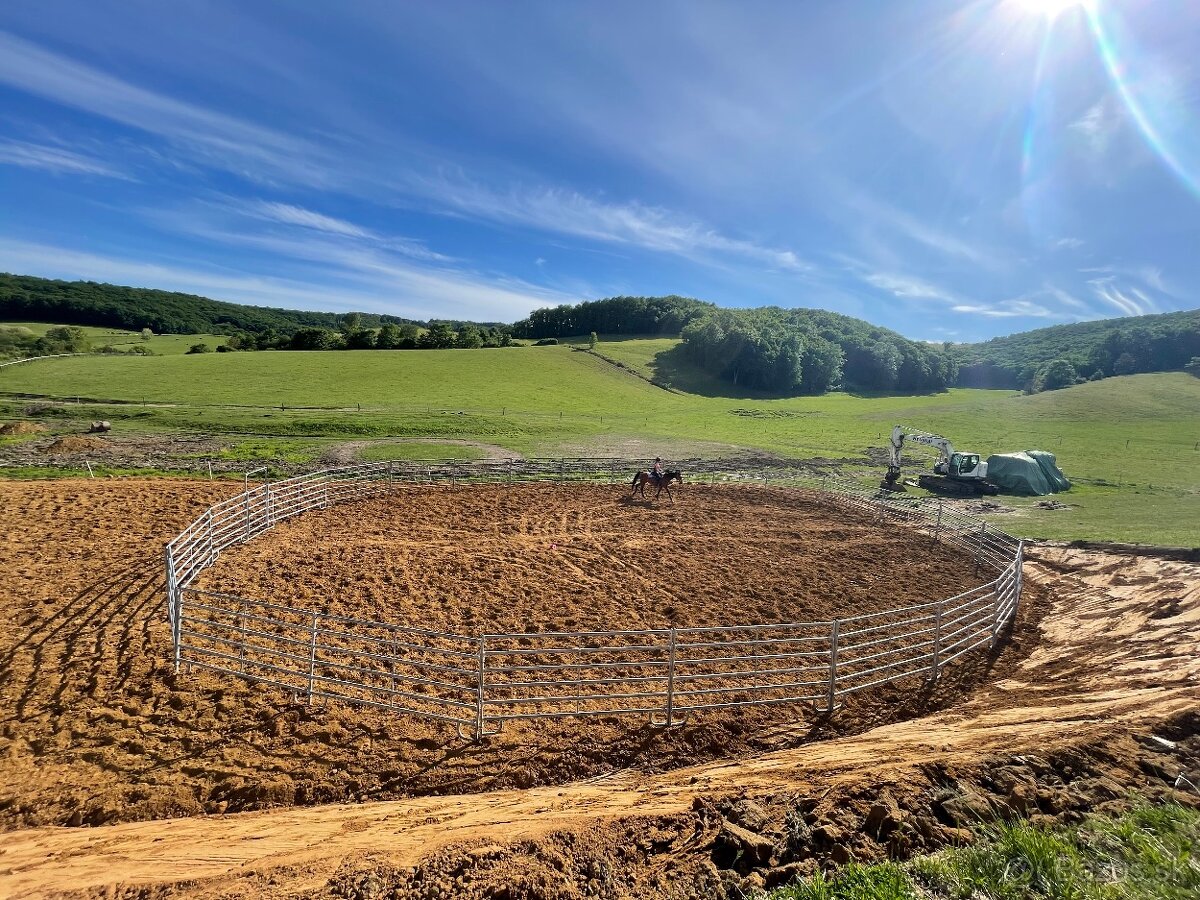 Ustajnenie koní - 9