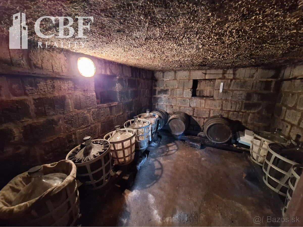 22.000 ZÁHRADKÁRSKA CHATKA S VINIČOM NA PREDAJ V HRHOVE - 9