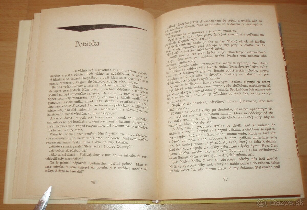 Srny svätého Antona - 9