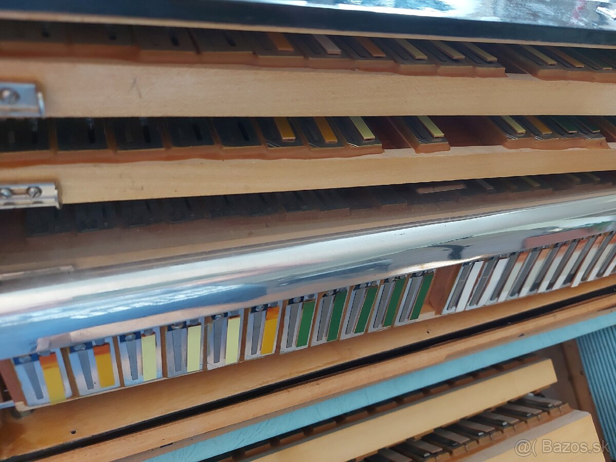 Akordeon / harmonika Royal Standard Selecta - 9