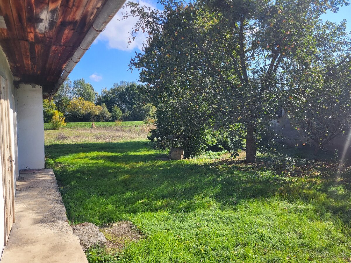 TOP Ponuka, Dom + pozemok 2513m2 v Zemplinskom Hradisti - 9