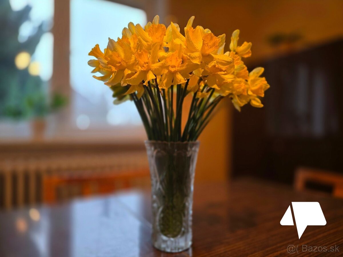 REZERVOVANÝ- 5-izbový rodinný dom Šurianky s veľkým pozemko - 9