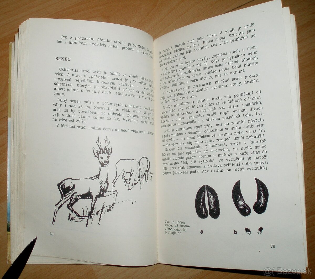 Lovecké praktikum - 9