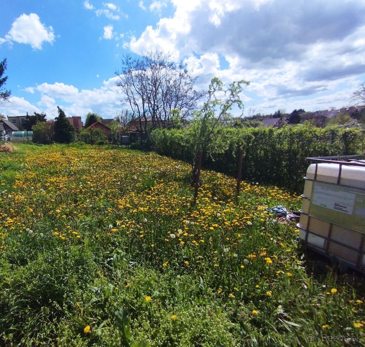 Predaj pozemok so záhradným domčekom okres Levice - 9