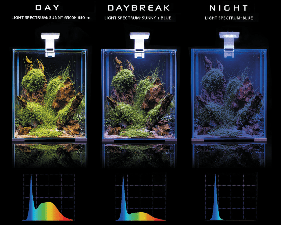 Akvárium - komplet aj s rybkami - 9