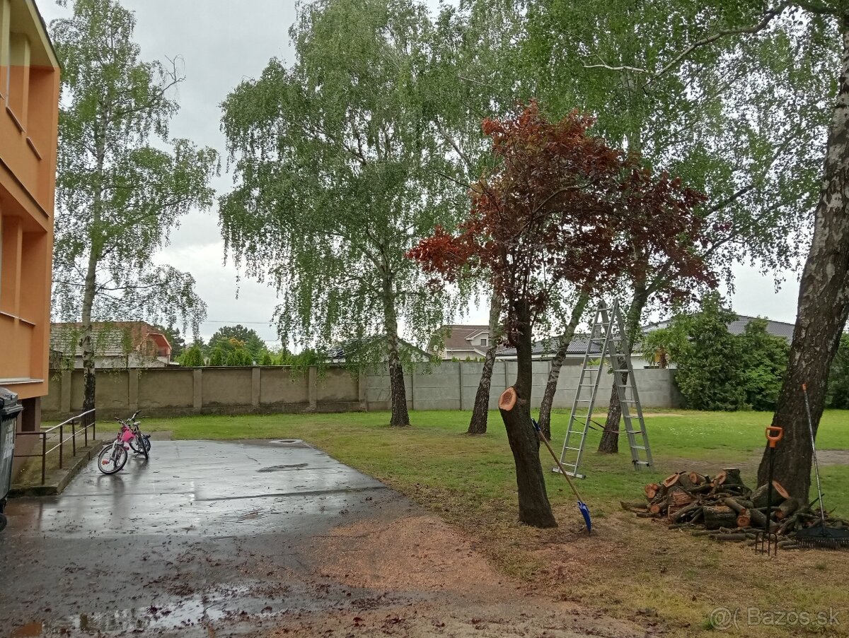 Ponúkame kosenie pozemkov - 9