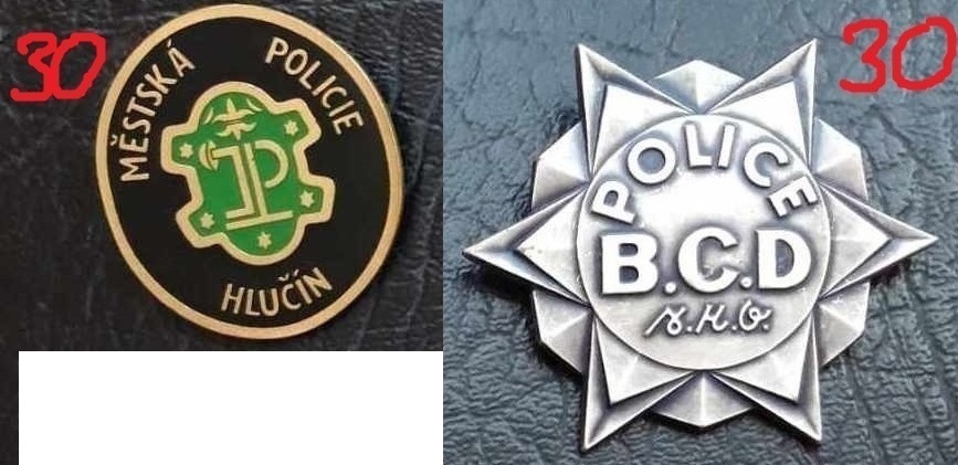 Odznaky stražna služba,mestska polícia,SBS...ceny na foto... - 9