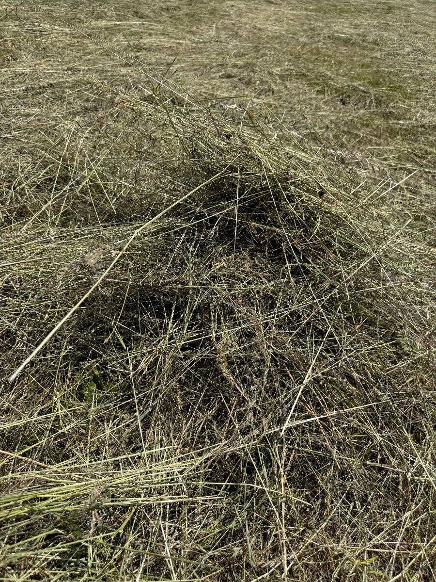 Seno, okrúhle balíky, doprava - 9