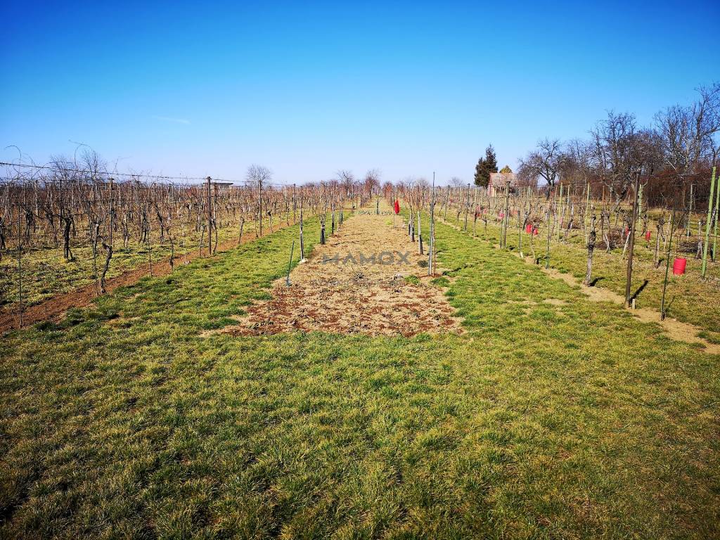 Chatka na predaj + odstúpenie prenájmu záhrady. Nitra, Kynek - 9